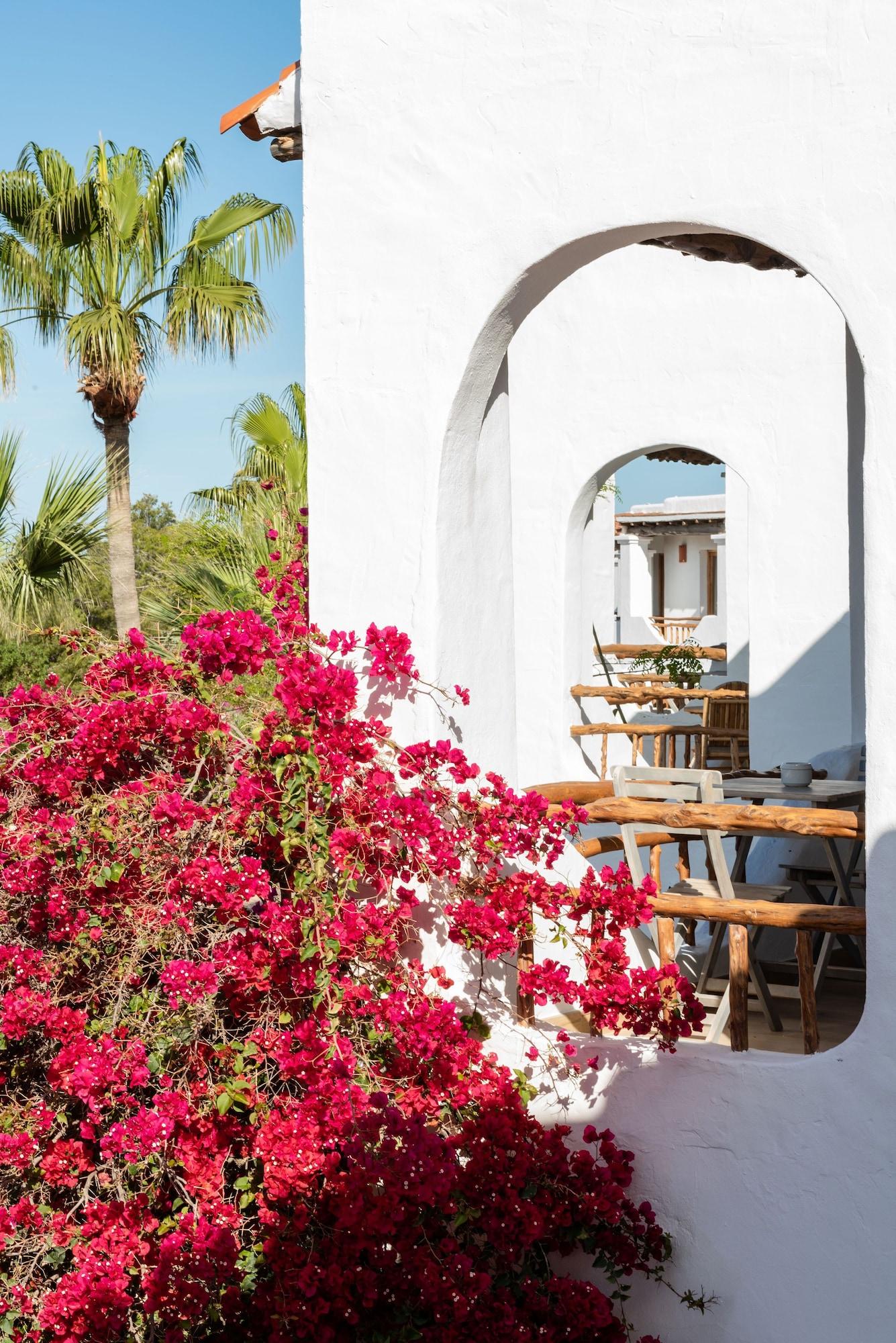 Petunia Ibiza (Adults Only) Hotel กาลาวาเดลลา ภายนอก รูปภาพ